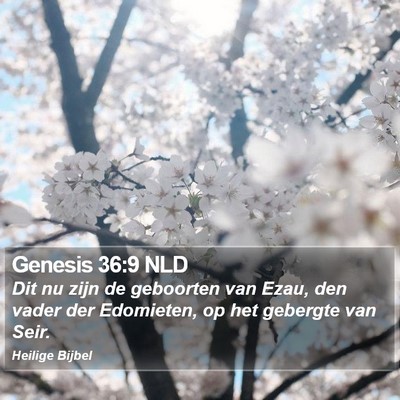 Genesis 36:9 NLD Bible Verse Image