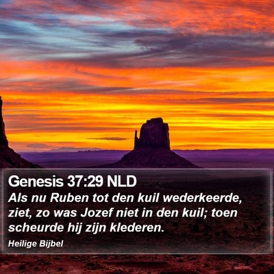 Genesis 37:29 NLD Bible Verse Image