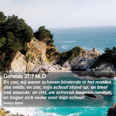 Genesis 37:7 NLD Bible Verse Image