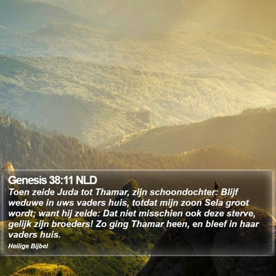 Genesis 38:11 NLD Bible Verse Image