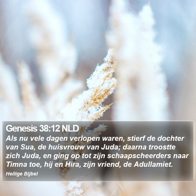 Genesis 38:12 NLD Bible Verse Image