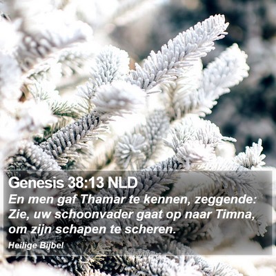 Genesis 38:13 NLD Bible Verse Image