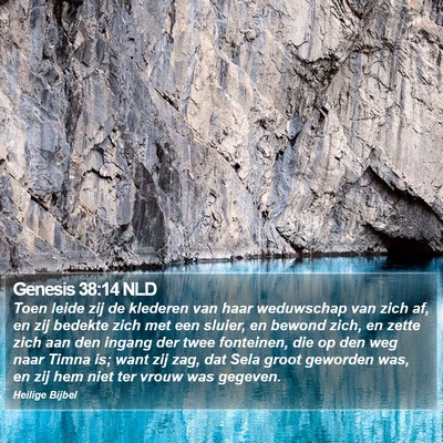 Genesis 38:14 NLD Bible Verse Image