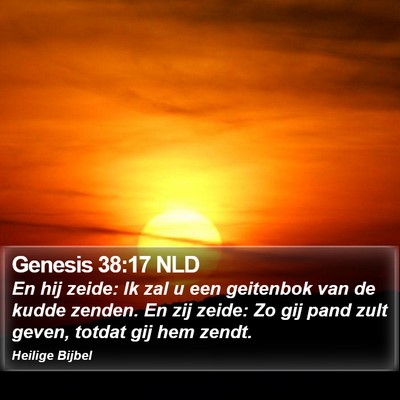 Genesis 38:17 NLD Bible Verse Image