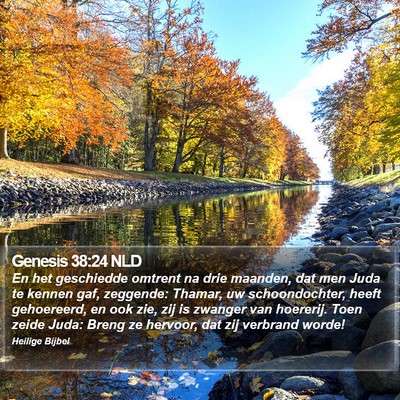 Genesis 38:24 NLD Bible Verse Image