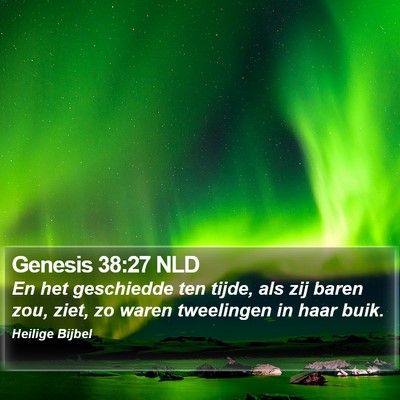 Genesis 38:27 NLD Bible Verse Image