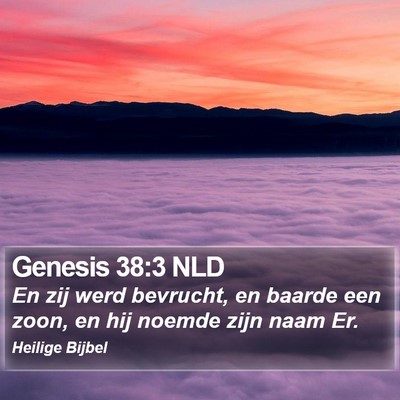 Genesis 38:3 NLD Bible Verse Image