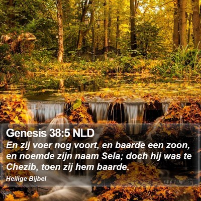 Genesis 38:5 NLD Bible Verse Image