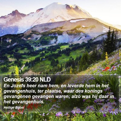Genesis 39:20 NLD Bible Verse Image