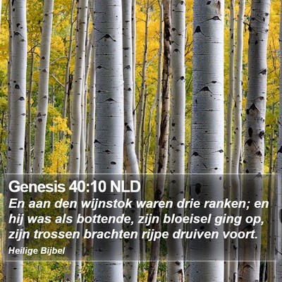 Genesis 40:10 NLD Bible Verse Image