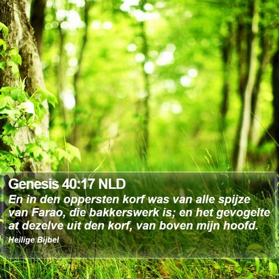 Genesis 40:17 NLD Bible Verse Image