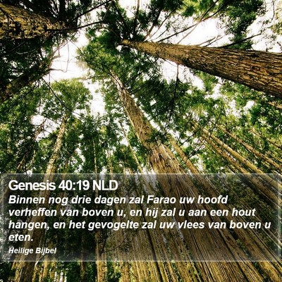 Genesis 40:19 NLD Bible Verse Image