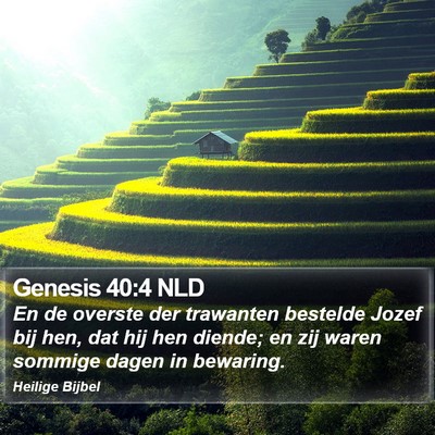 Genesis 40:4 NLD Bible Verse Image