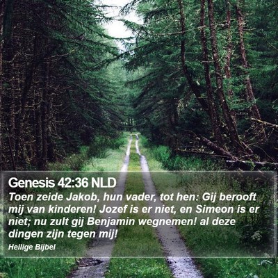 Genesis 42:36 NLD Bible Verse Image