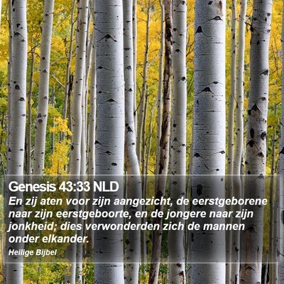 Genesis 43:33 NLD Bible Verse Image