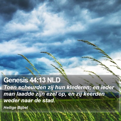 Genesis 44:13 NLD Bible Verse Image