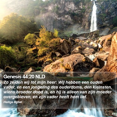 Genesis 44:20 NLD Bible Verse Image