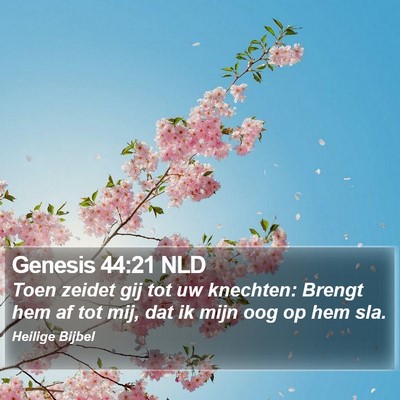 Genesis 44:21 NLD Bible Verse Image