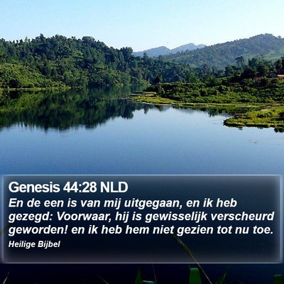 Genesis 44:28 NLD Bible Verse Image