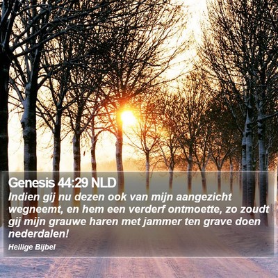 Genesis 44:29 NLD Bible Verse Image