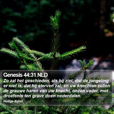 Genesis 44:31 NLD Bible Verse Image