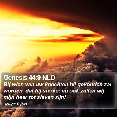 Genesis 44:9 NLD Bible Verse Image