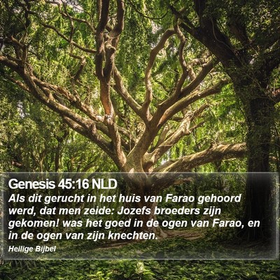 Genesis 45:16 NLD Bible Verse Image