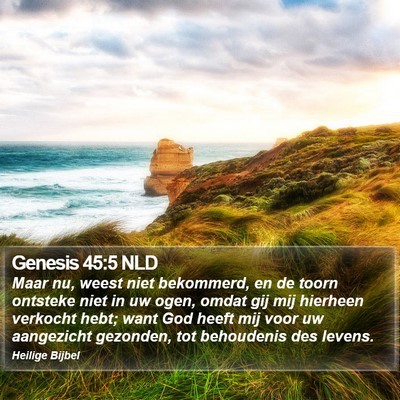 Genesis 45:5 NLD Bible Verse Image