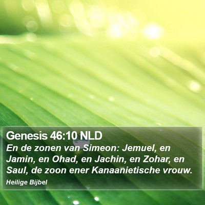 Genesis 46:10 NLD Bible Verse Image