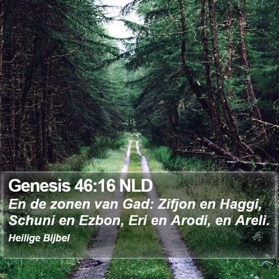 Genesis 46:16 NLD Bible Verse Image