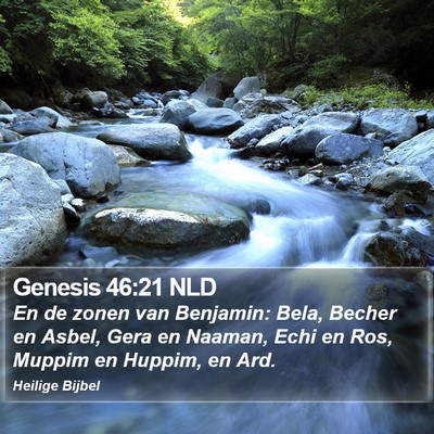 Genesis 46:21 NLD Bible Verse Image