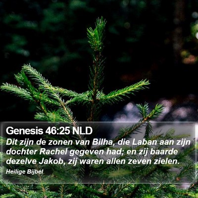 Genesis 46:25 NLD Bible Verse Image