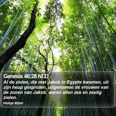 Genesis 46:26 NLD Bible Verse Image