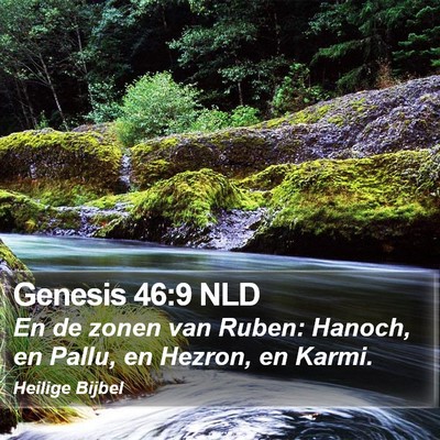 Genesis 46:9 NLD Bible Verse Image