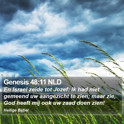 Genesis 48:11 NLD Bible Verse Image