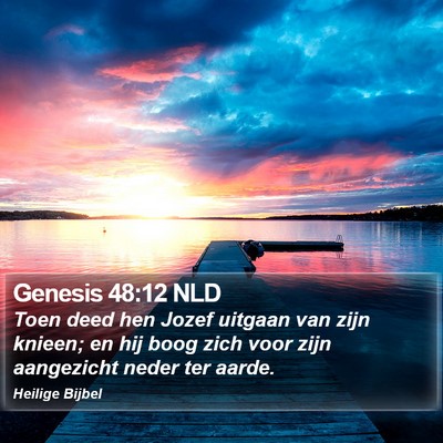 Genesis 48:12 NLD Bible Verse Image