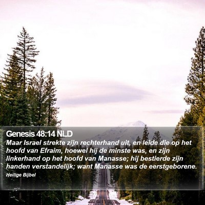 Genesis 48:14 NLD Bible Verse Image