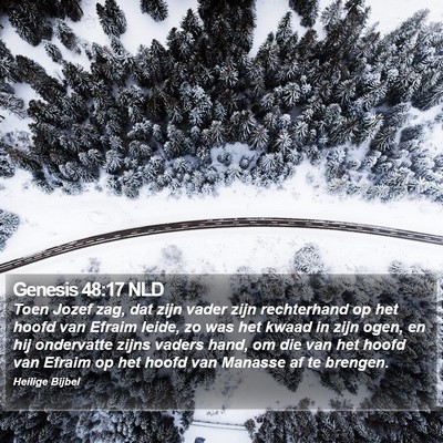 Genesis 48:17 NLD Bible Verse Image