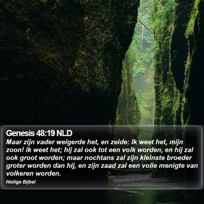 Genesis 48:19 NLD Bible Verse Image