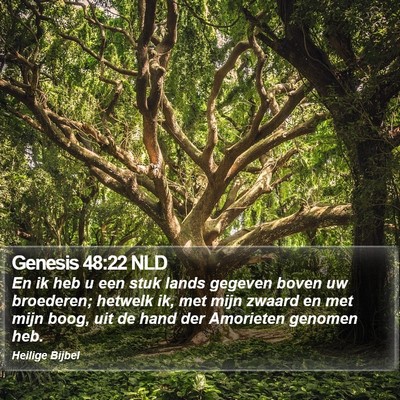 Genesis 48:22 NLD Bible Verse Image