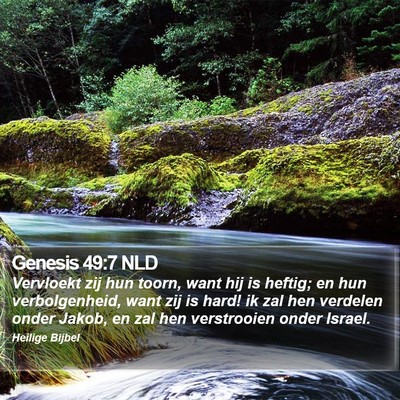 Genesis 49:7 NLD Bible Verse Image