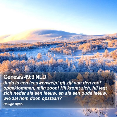 Genesis 49:9 NLD Bible Verse Image