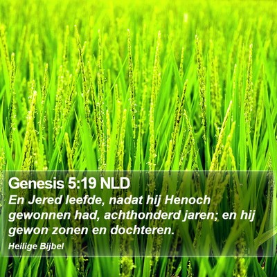 Genesis 5:19 NLD Bible Verse Image