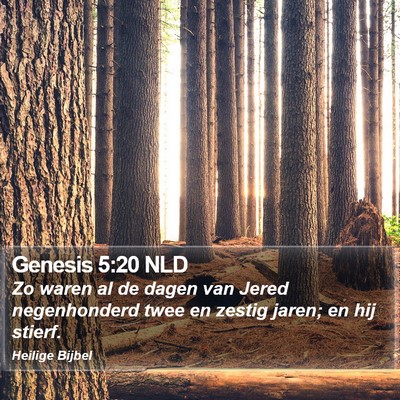 Genesis 5:20 NLD Bible Verse Image