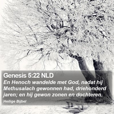 Genesis 5:22 NLD Bible Verse Image