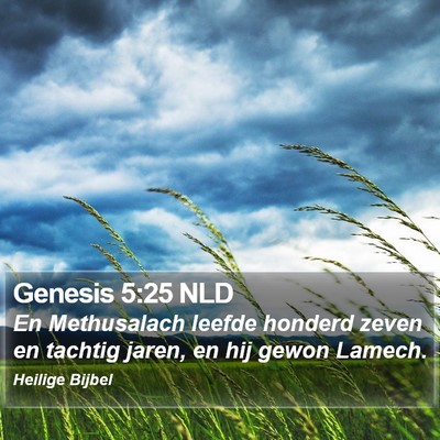 Genesis 5:25 NLD Bible Verse Image