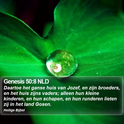 Genesis 50:8 NLD Bible Verse Image