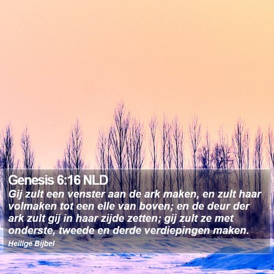 Genesis 6:16 NLD Bible Verse Image