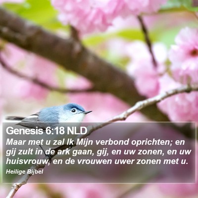 Genesis 6:18 NLD Bible Verse Image