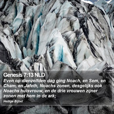 Genesis 7:13 NLD Bible Verse Image